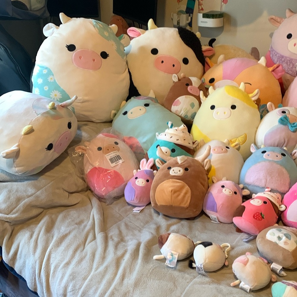 70 cow squishmallow bundle VERY RARE. - Picture 7 of 13